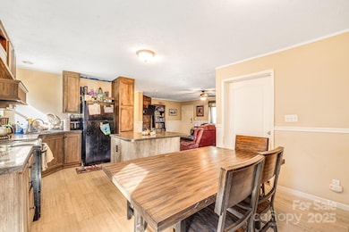 55 Harris Ridge Rd, Candler, NC 28715 - photo 5