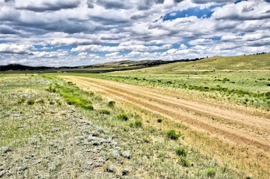 0 Black Hawk Rd unit S1061191, Hartsel, CO 80449 - photo 4
