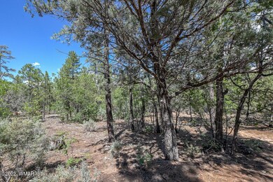 2011 S Sierra Park Trail, Show Low, AZ 85901 - photo 6