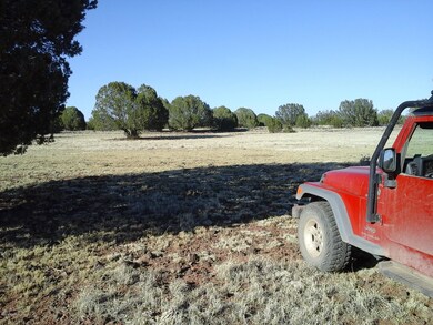 Lot 140 Juniperwood Ranch Unit 4, Ash Fork, AZ 86320 - photo 2