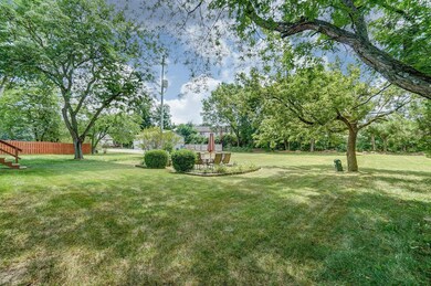 Rear Yard