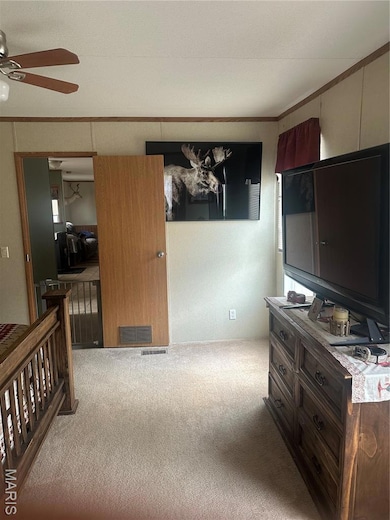 2225 U S 160, Doniphan, MO 63935 - photo 6