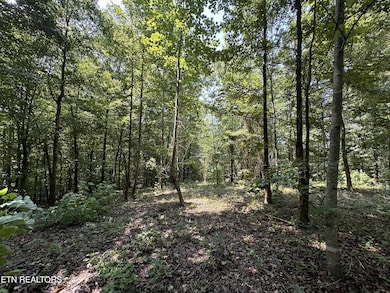 1255 Winningham Rd, Byrdstown, TN 38549 - photo 6