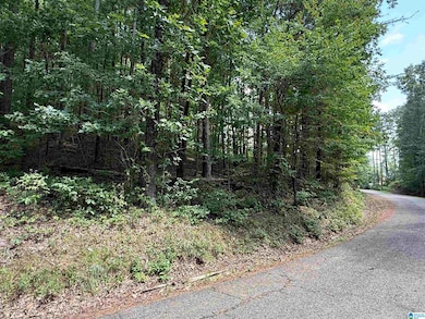 Lot 15 Davis Dr unit 15, Glencoe, AL 35905 - photo 2