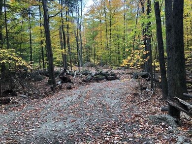 Lot 22-7B Old Pound Rd, Antrim, NH 03440 - photo 5