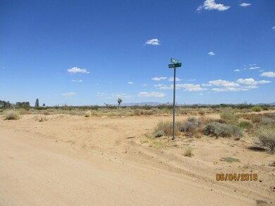 PHOTO1