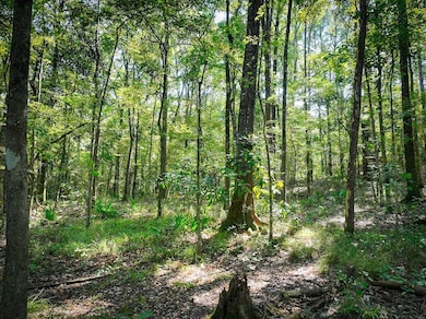 140 Elderberry Ln, Cairo, GA 39828 - photo 6