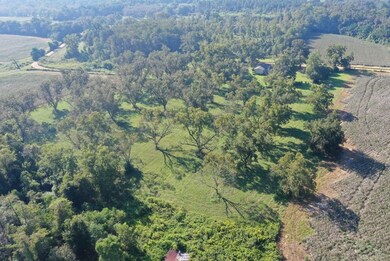 Back of Property facing towards Road.
