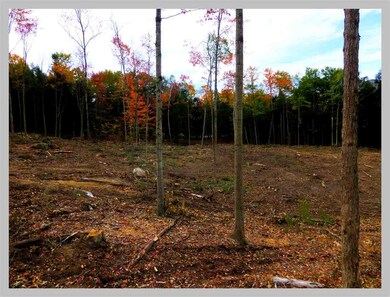 0 Route 175 unit 4666974, Thornton, NH 03285 - photo 2