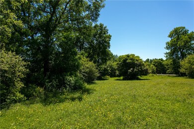 View of local wilderness