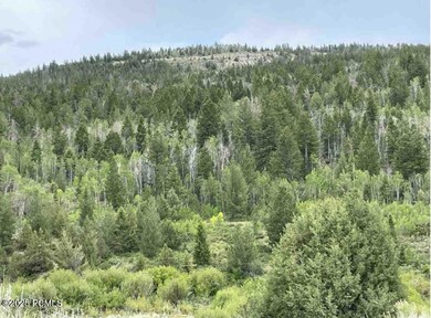 0 Argyle Canyon Rd, Duchesne, UT 84021 - photo 4