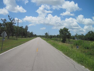 0 Cr 461 unit 88803174, Brazoria, TX 77422 - photo 4