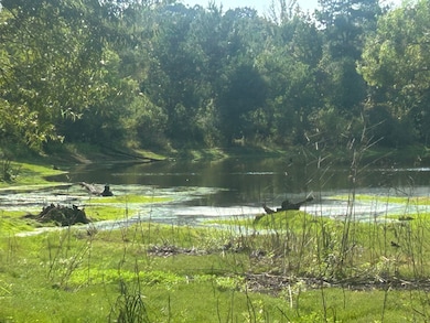 0 Coppell unit 24578243, Centreville, MS 39631 - photo 6