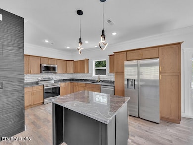 1283 Lori Ellen Ct, Sevierville, TN 37876 - photo 4