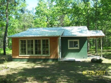 1173 Coolidge Dr, Bitely, MI 49309 - photo 5