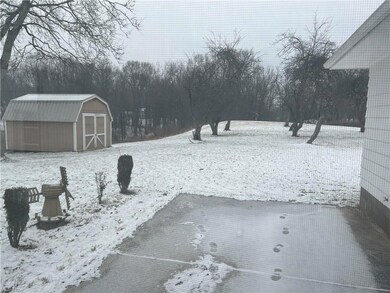 backyard with shed