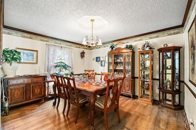 Dining area featuring light wood-type flooring, crown molding, a textured ceiling, and a chandelier