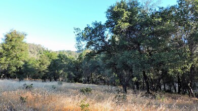 0 5 01 Ac Fieldbrook Estates Dr unit 16-3399, Redding, CA 96003 - photo 4