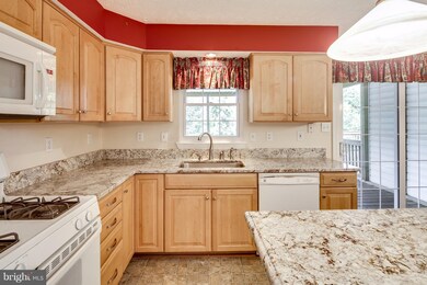 5413 Autumn Field Ct, Ellicott City, MD 21043 - photo 7
