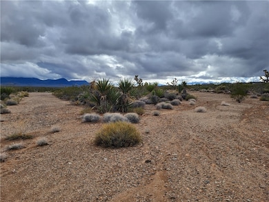 0000 Campanile, Meadview, AZ 86444 - photo 3