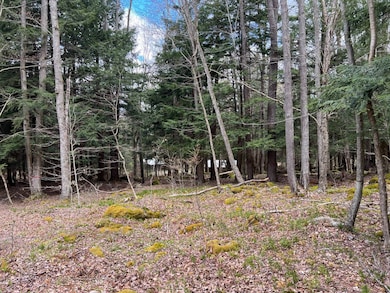 6 Bordell Rd, Smethport, PA 16749 - photo 7