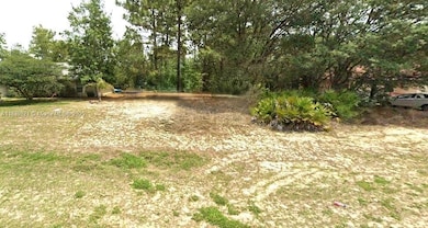 1139 W Hampshire Blvd, Dunnellon, FL 34434 - photo 3