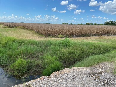 123 Drachenberg Rd, Beasley, TX 77417 - photo 6