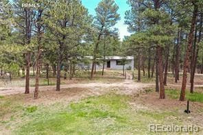 12375 Mount Shasta Dr unit 1, Elbert, CO 80106 - photo 2