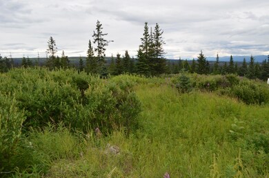 Views of the Caribou Hills