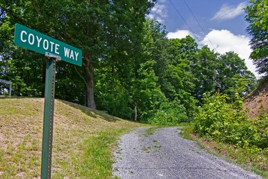 Coyote Way_0327