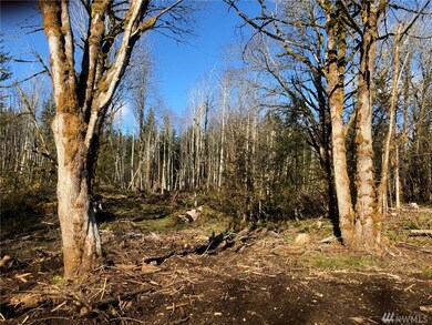 11 Nickelbush Rd, Quilcene, WA 98376 - photo 6