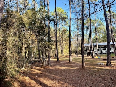 26024 Pineview Dr, Folsom, LA 70446 - photo 6