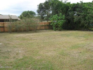 Back Yard 2