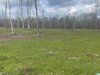 0004 Truman Aldrich Pkwy, West Blocton, AL 35184 - photo 4