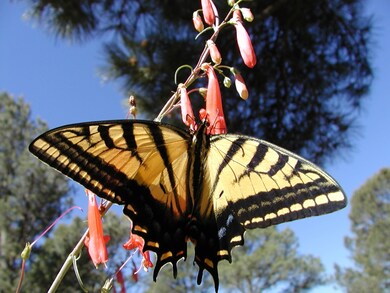 33817 Turkey Creek Ln unit B 67, Trinidad, CO 81082 - photo 4