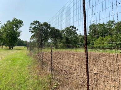 27897 Kresdorn Rd, Hockley, TX 77447 - photo 6