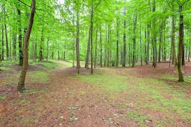 Lot3B Squire Ln, Cumming, GA 30041 - photo 6