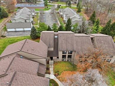 1115 Canyon View Rd unit 504, Northfield, OH 44067 - photo 6