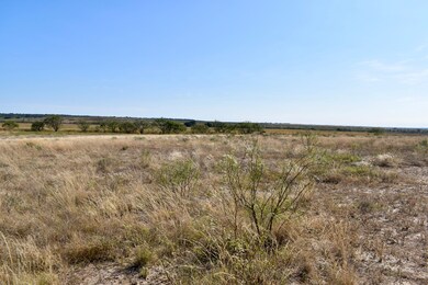 85 Private Road 527, Brady, TX 76825 - photo 4