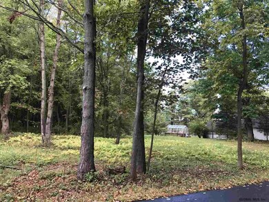 0 Mason Ln, New Scotland, NY 12159 - photo 4