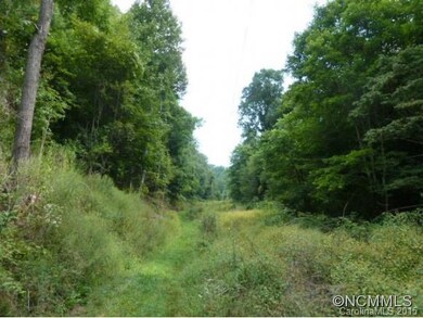 spring view of drive