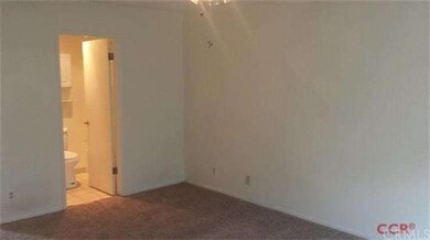 master with newer carpet and ceiling fan