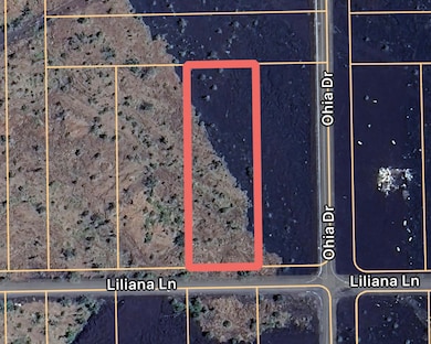 92-8506 Liliana Ln, Ocean View, HI 96704 - photo 2