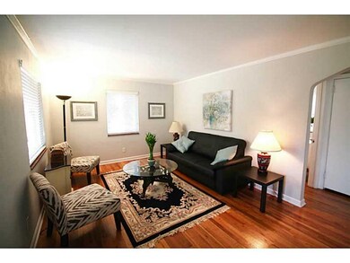 Living Room. Lots of natural light.