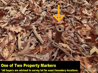 Lot 97 Melrose Ct unit 97, Lake Lure, NC 28746 - photo 7