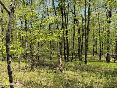 L21.3 County Route 5 & I90, Canaan, NY 12060 - photo 4