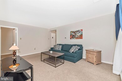 1000 Brinker Dr unit 202, Hagerstown, MD 21740 - photo 4