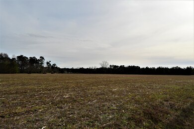 field 5