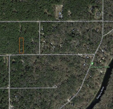 4301 290th Terrace, Branford, FL 32008 - photo 6