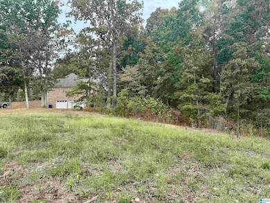 00 Hickory Ridge Rd unit 40, Oneonta, AL 35121 - photo 5